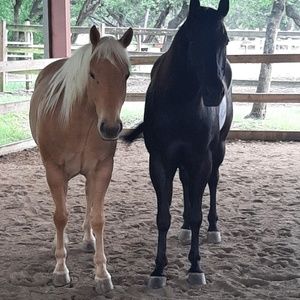 Meet your Posher, Nancy